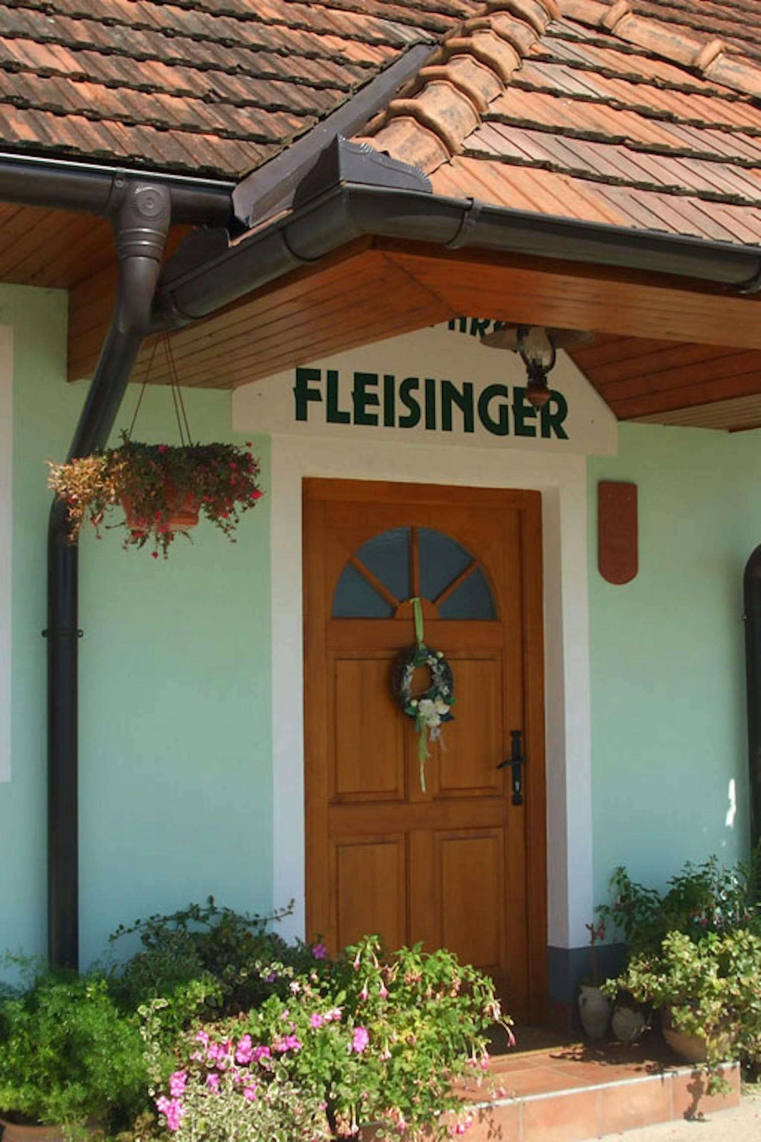 Vina Fleisinger